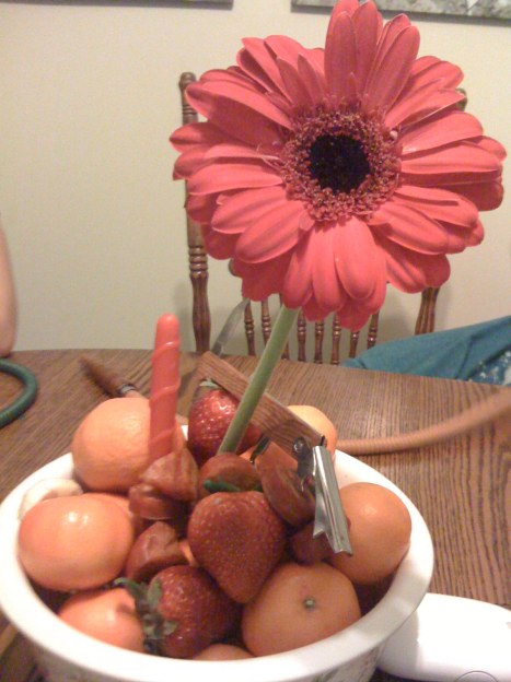 the things you come up with after a couple drinks...gerber daisy, tangerines, sausage, corkscrew...a true hodgepodge